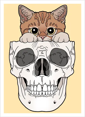 Orange Kitty & Skull