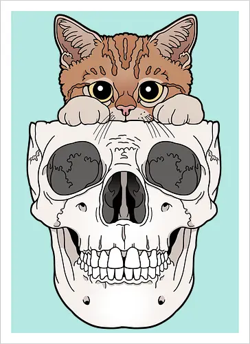 Orange Kitty & Skull