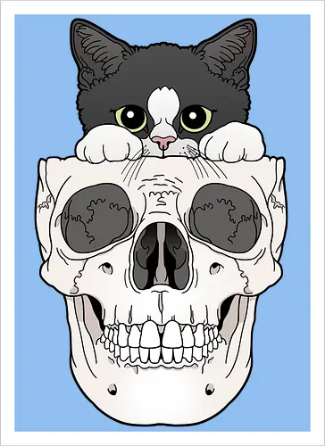 Tuxedo Kitty & Skull