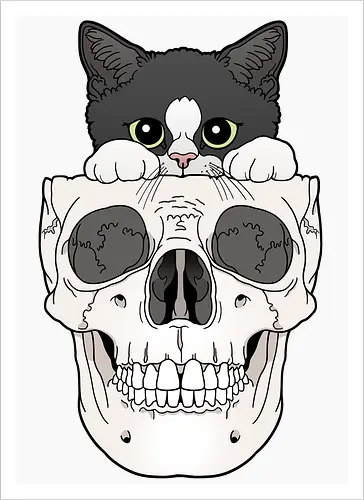 Tuxedo Kitty & Skull