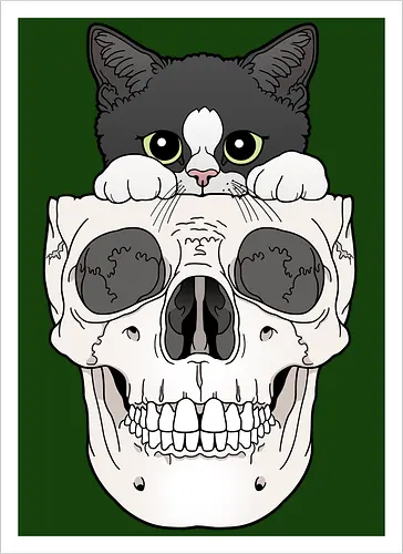 Tuxedo Kitty & Skull