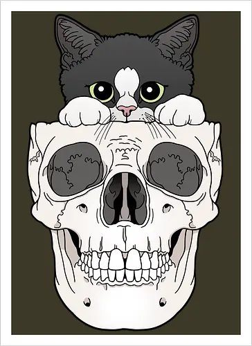 Tuxedo Kitty & Skull