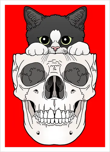 Tuxedo Kitty & Skull