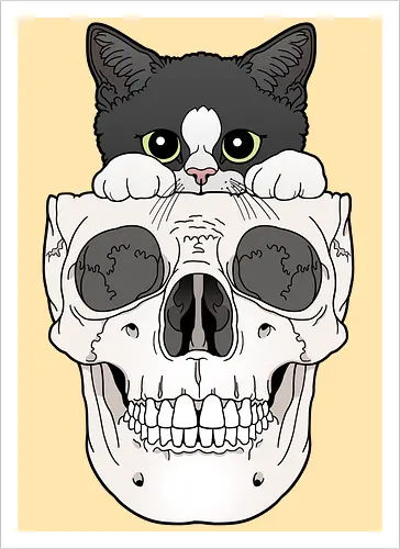 Tuxedo Kitty & Skull