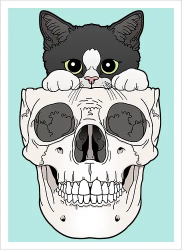 Tuxedo Kitty & Skull