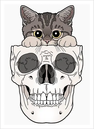 Tabby Kitty & Skull