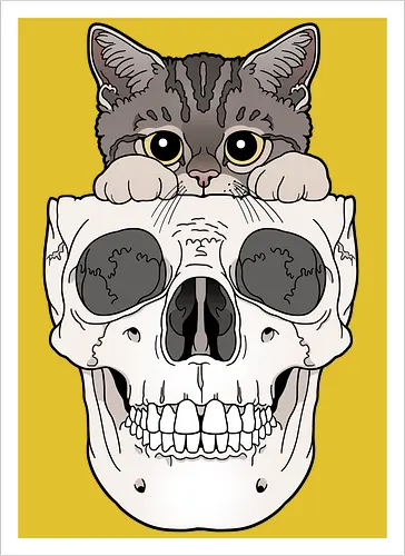 Tabby Kitty & Skull