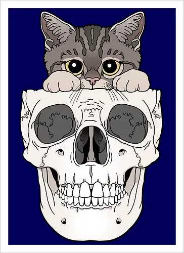 Tabby Kitty & Skull