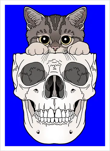 Tabby Kitty & Skull