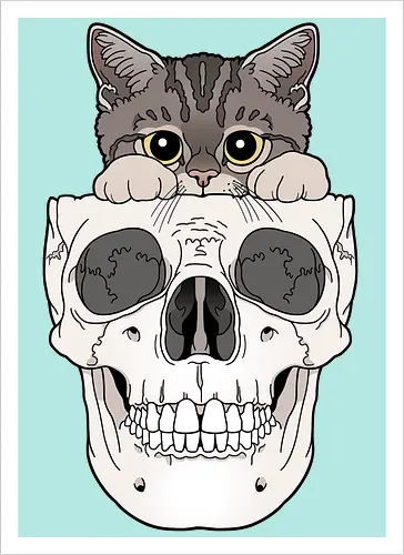 Tabby Kitty & Skull