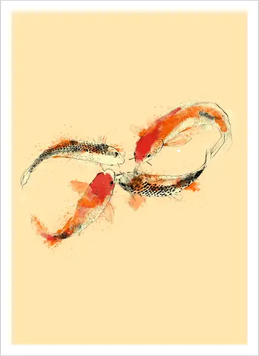 Infinity Kois