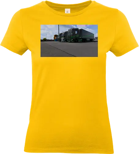 LKWS HRGT - Harz, Regional, Transporte - Standard T-Shirt (Women)