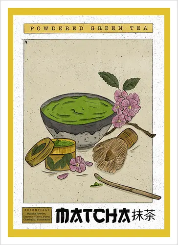 Vintage Matcha 