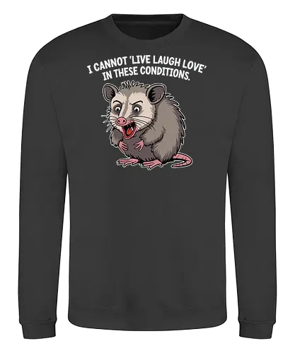I cannot 'Live Laugh Love' in these conditions. - opossum, cartoon, humor, distressed, expression, text, quote, funny, sentiment, frustration - Sweatshirt