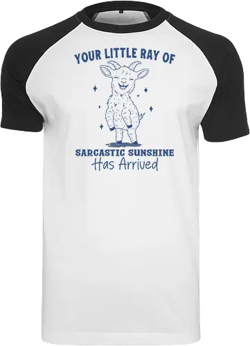 Sarcastic Sunshine 