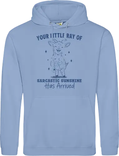 Sarcastic Sunshine 