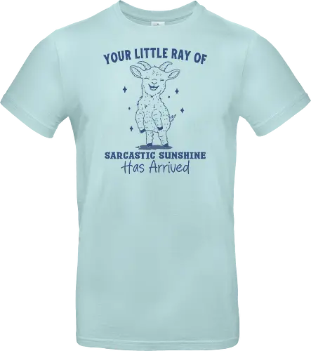 Sarcastic Sunshine 