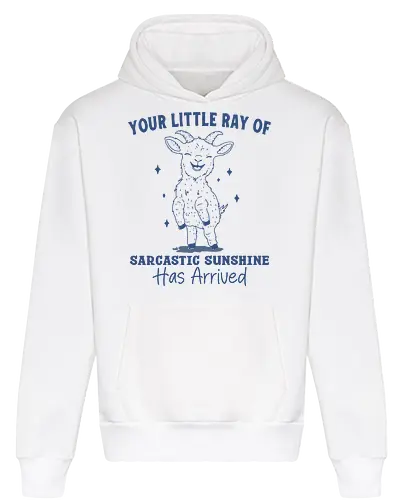 Sarcastic Sunshine 