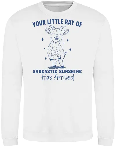 Sarcastic Sunshine 