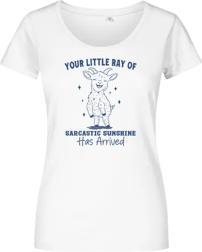 Sarcastic Sunshine 