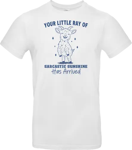 Sarcastic Sunshine 