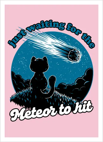 Cat Waiting the Meteor