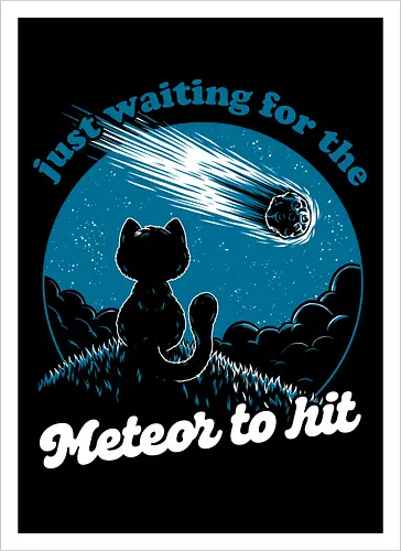 Cat Waiting the Meteor