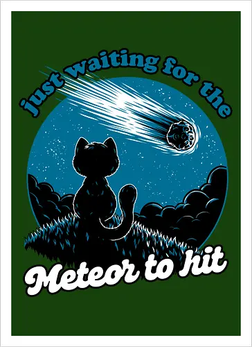 Cat Waiting the Meteor