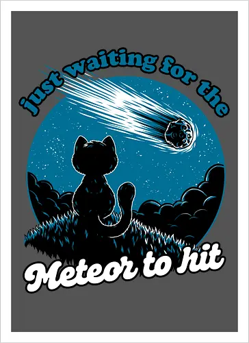 Cat Waiting the Meteor