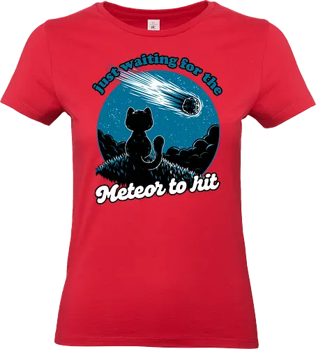 Cat Waiting the Meteor - meteor, cat, Black Cat, cute, pet, irony, sarcasm, nihilism, apocalypse, mountain, landscape, night, star, end of the world, chaos, fun, funny - Standard T-Shirt (Women)