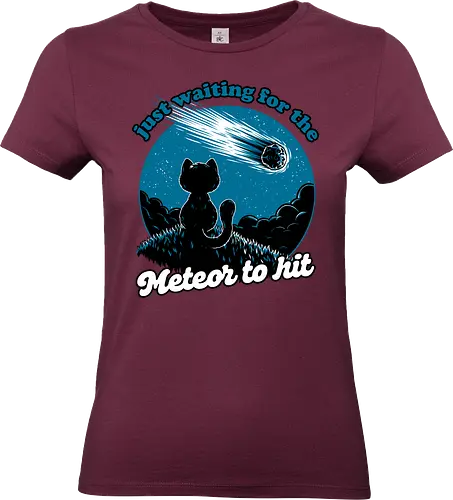 Cat Waiting the Meteor - meteor, cat, Black Cat, cute, pet, irony, sarcasm, nihilism, apocalypse, mountain, landscape, night, star, end of the world, chaos, fun, funny - Standard T-Shirt (Women)
