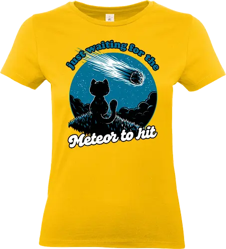 Cat Waiting the Meteor - meteor, cat, Black Cat, cute, pet, irony, sarcasm, nihilism, apocalypse, mountain, landscape, night, star, end of the world, chaos, fun, funny - Standard T-Shirt (Women)