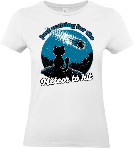Cat Waiting the Meteor - meteor, cat, Black Cat, cute, pet, irony, sarcasm, nihilism, apocalypse, mountain, landscape, night, star, end of the world, chaos, fun, funny - Standard T-Shirt (Women)