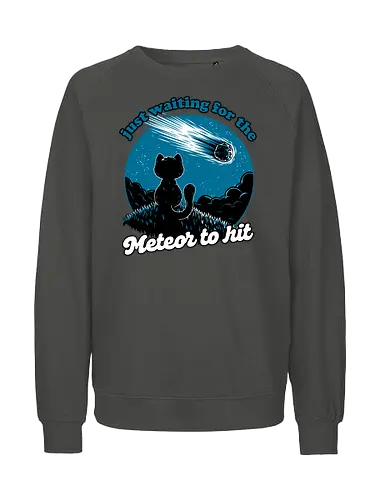 Cat Waiting the Meteor - meteor, cat, Black Cat, cute, pet, irony, sarcasm, nihilism, apocalypse, mountain, landscape, night, star, end of the world, chaos, fun, funny - Fairtrade Sweatshirt
