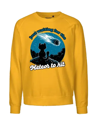 Cat Waiting the Meteor - meteor, cat, Black Cat, cute, pet, irony, sarcasm, nihilism, apocalypse, mountain, landscape, night, star, end of the world, chaos, fun, funny - Fairtrade Sweatshirt