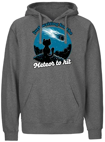 Cat Waiting the Meteor - meteor, cat, Black Cat, cute, pet, irony, sarcasm, nihilism, apocalypse, mountain, landscape, night, star, end of the world, chaos, fun, funny - Fairtrade Hoodie