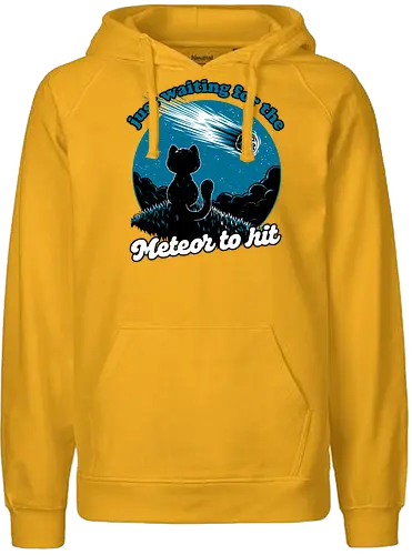 Cat Waiting the Meteor - meteor, cat, Black Cat, cute, pet, irony, sarcasm, nihilism, apocalypse, mountain, landscape, night, star, end of the world, chaos, fun, funny - Fairtrade Hoodie