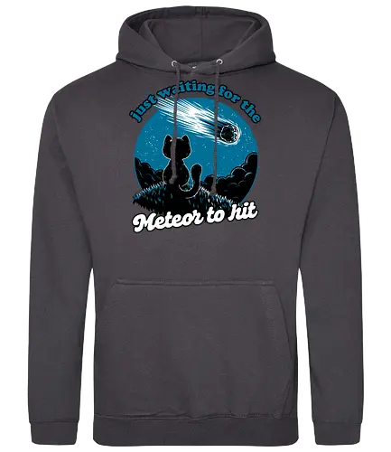 Cat Waiting the Meteor - meteor, cat, Black Cat, cute, pet, irony, sarcasm, nihilism, apocalypse, mountain, landscape, night, star, end of the world, chaos, fun, funny - Standard Hoodie