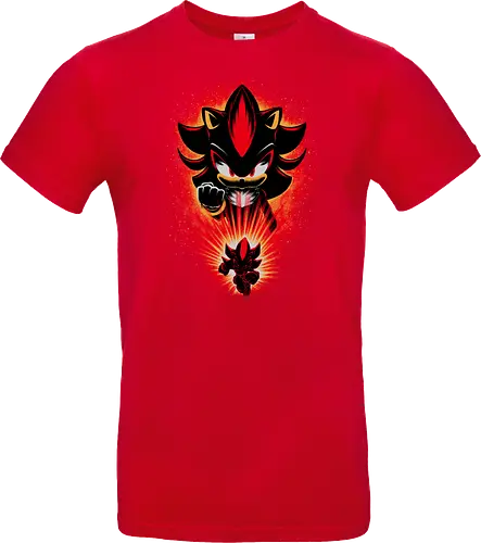Shadow of Chaos