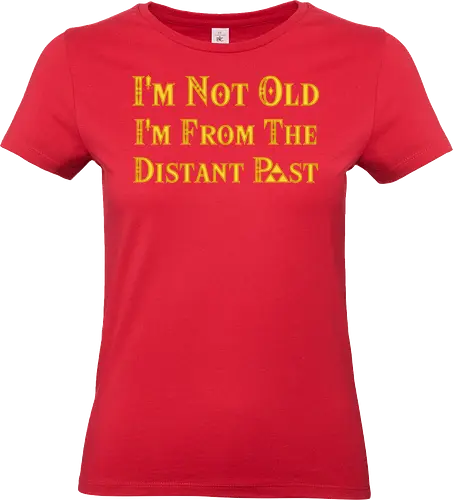 The Distan Past - Princess, Hero of Time - Standard T-Shirt (Women)