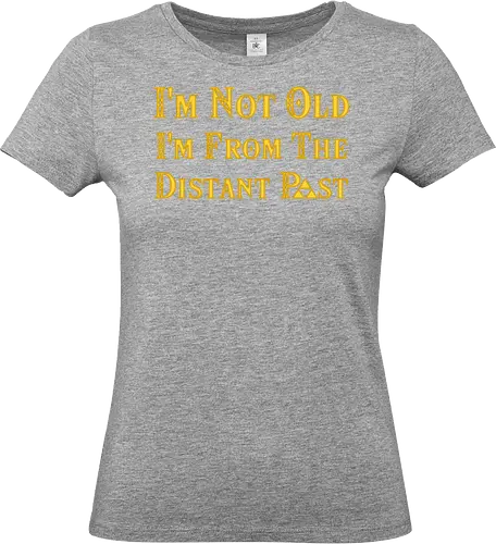 The Distan Past - Princess, Hero of Time - Standard T-Shirt (Women)