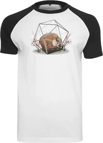 Sakura Eulenbär Terrarium