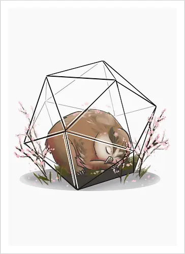 Sakura Eulenbär Terrarium