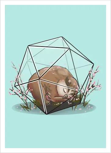 Sakura Eulenbär Terrarium