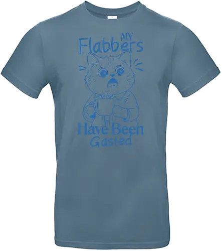 My Flabbers Have Been Gasted - my flabbers, have been gasted, meme, funny, humor, shock, surprise, cat, minimalist - Standard T-Shirt