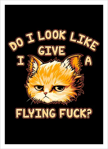 Do I Look Like I Give A Flying Fvck?