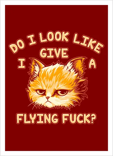 Do I Look Like I Give A Flying Fvck?