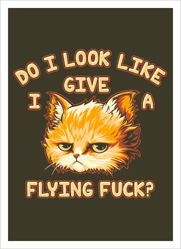 Do I Look Like I Give A Flying Fvck?