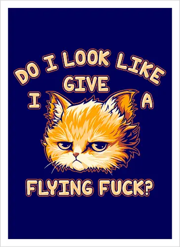 Do I Look Like I Give A Flying Fvck?