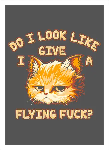Do I Look Like I Give A Flying Fvck?